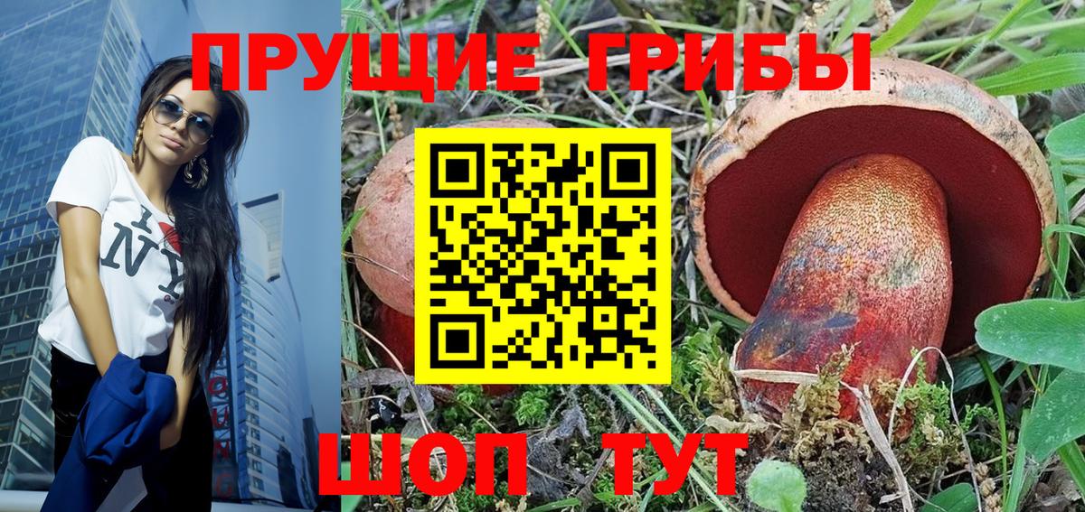 Псилоцибиновые грибы GOLDEN TEACHER Балашов