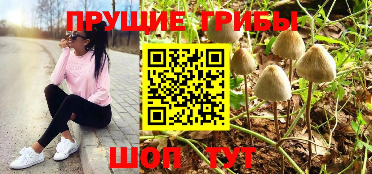 Псилоцибиновые грибы мицелий  где купить   Балашов  Вход с VPN  Галлюциногенные грибы Magic Shrooms 